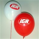 IGA Balloons Neck Up