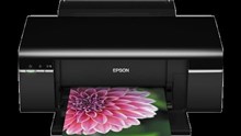 EPSON STYLUS PHOTO T50